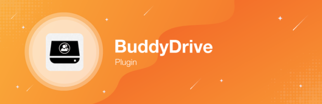 BuddyDrive