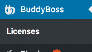 BuddyBoss Licences Navigation